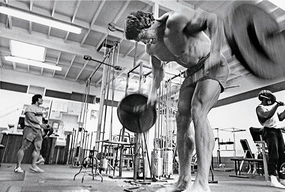 Arnold